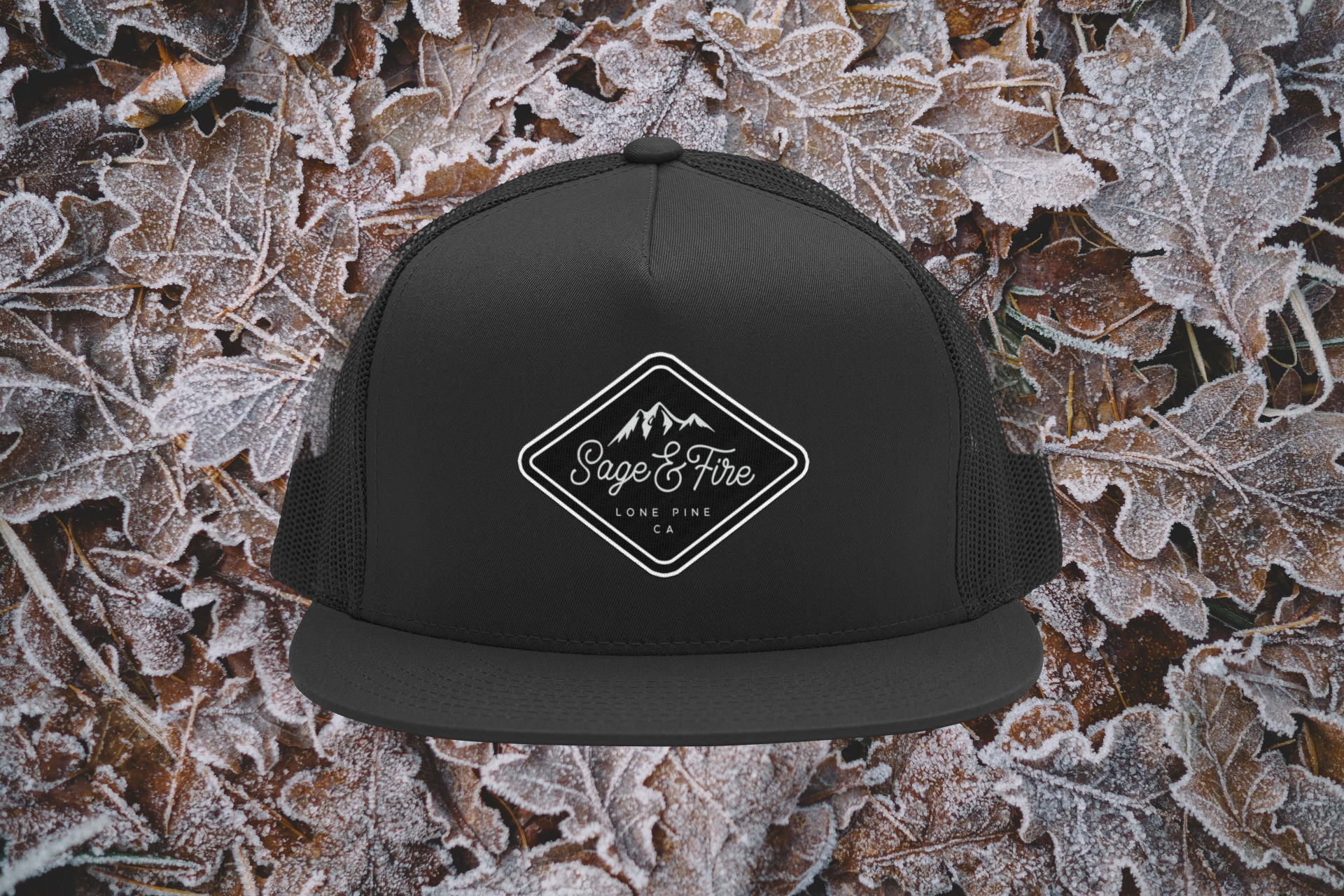 Winter Warmth, Ultimate Style – Hoodies and Head Gear